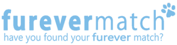 furever match blue letters Logo with transparent bg